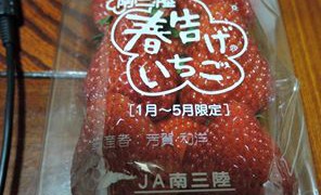 鼻+畑+苺