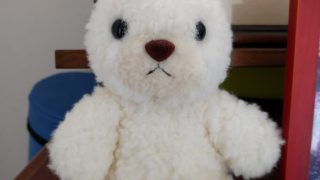 11月4日(# ゚Д゚)XXめだまに悲劇が襲い掛かる(´;ω;`)ウゥゥ