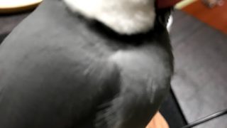 そろそろネガティヴ作品に飽きませんか?