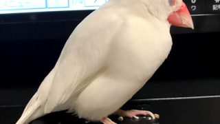 30歳の俺が新しいアルバイトを探す物語