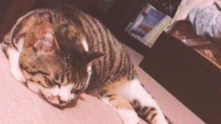 周囲が幸せそうに見えるのは気のせい、騙されるな‼洗脳されるな‼
