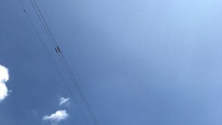 天より下にありし者 交通誘導員 29日目 熱中症寸前の地獄