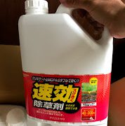 天より下にありし者 交通誘導員 46日目 やる時間があればちゃんとやるんだから