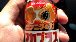 天より下にありし者 交通誘導員 79日目 ニンニクの力 マカ+モチモチ食パンクッションって胃がもたれるわ‼ド畜生‼