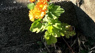 天より下にありし者 交通誘導員 98日目 趣味なんか不要