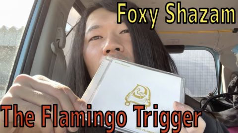 The Flamingo Trigger／FOXY SHAZAM