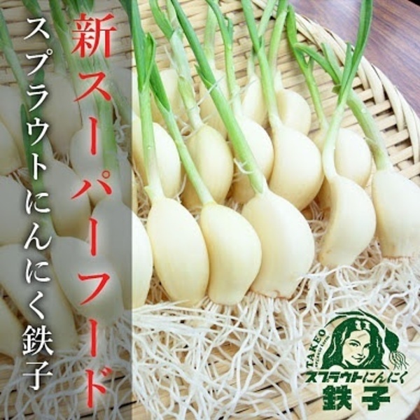 2017年12月12日　ミヤハラ農園のスプラウトにんにく鉄子を天ぷらで食らう
