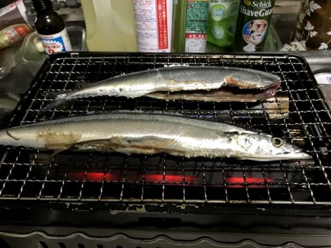 連日秋刀魚三連魚